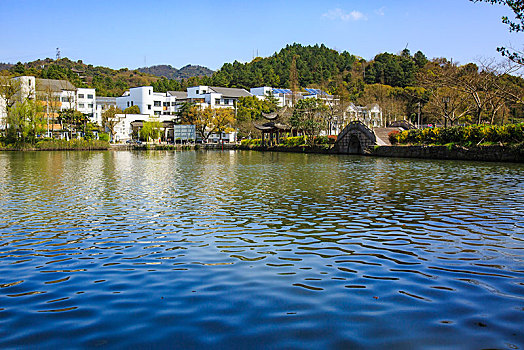 湖水,水面,柳树