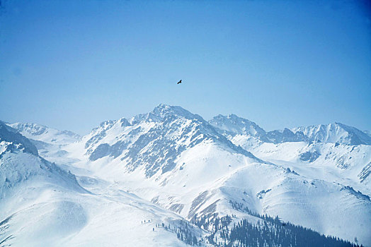 冬季草原雪山