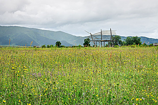 高原草场