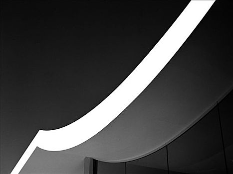 蛇形画廊展厅,黑白,屋顶轮廓线,特写