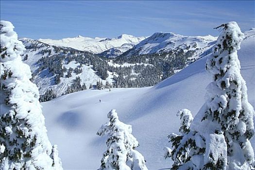 男人,高山滑雪,滑雪胜地,海岸,东南部,冬天