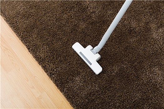 褐色,地毯,真空吸尘器,客厅