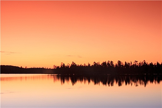 夕阳湖,树林
