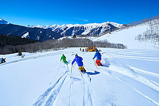 后视图,男人,滑雪,积雪,滑雪坡,白杨,科罗拉多,美国