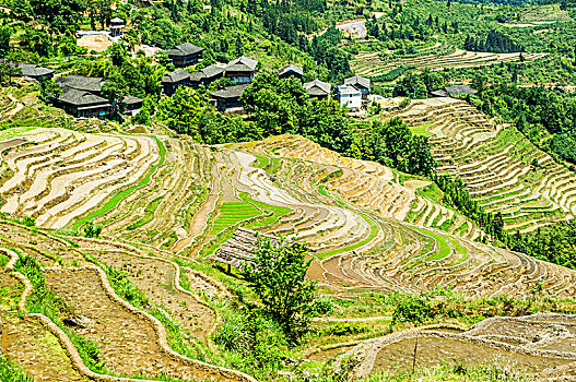 梯田风光