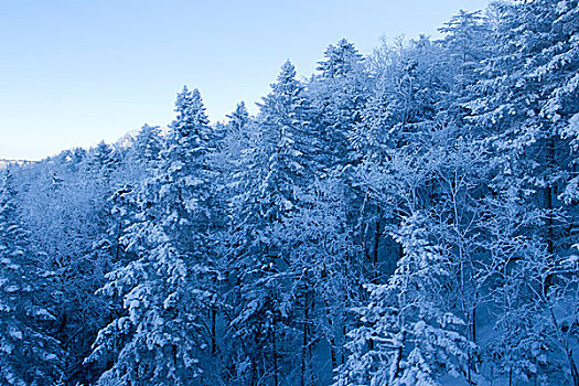 吉林市北大湖滑雪场高山雾凇