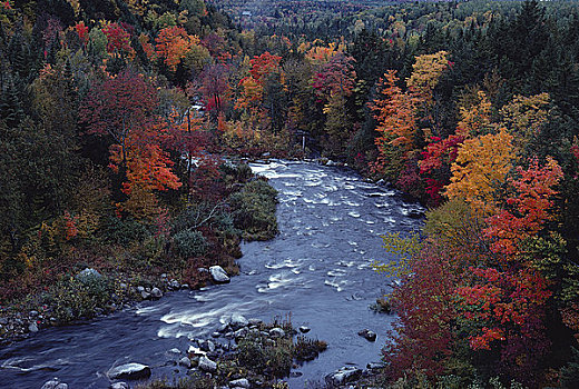 河,秋天,山谷,新布兰斯维克,加拿大