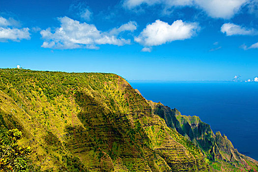 崎岖,绿色,悬崖,海岸,考艾岛,夏威夷,美国