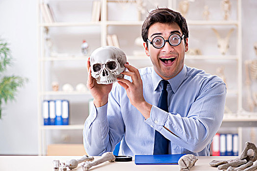 有趣,疯狂,教授,学习,人体骨骼