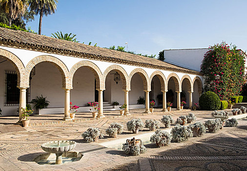 博物馆,科多巴省,安达卢西亚,西班牙,欧洲