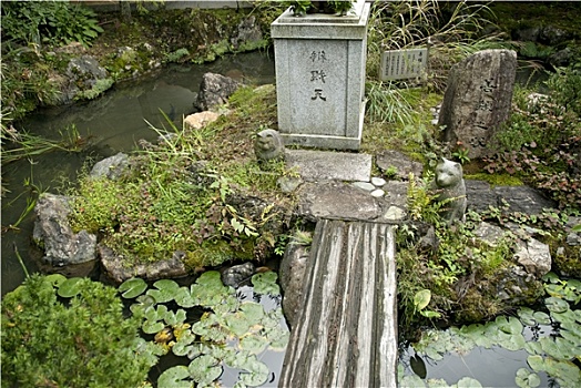 日本传统,花园,京都,日本