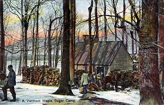 佛蒙特州,露营,美国,早,20世纪