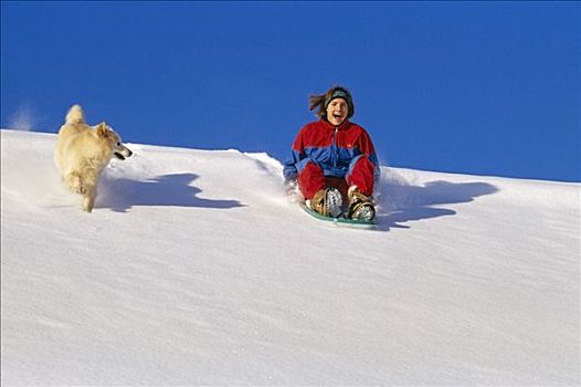 女人,雪橇运动,狗,北极,山谷,冬天,阿拉斯加