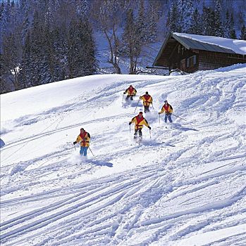男人,高山滑雪,冬天,雪,休假,假日