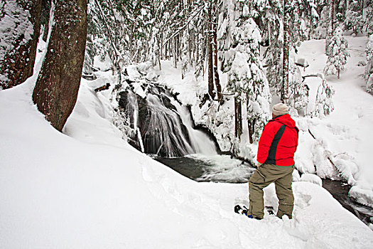 一个人,穿,雪鞋,站立,雪中,看,之字形,瀑布,山,帽子,国家森林,俄勒冈,美国