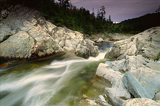 宽,河,芬地湾国家公园,新布兰斯维克,加拿大