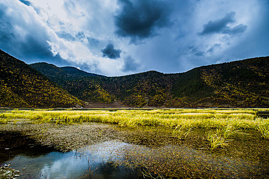 香格里拉