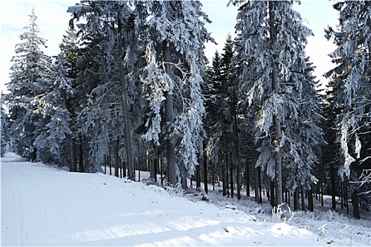 冬天,哈尔茨山