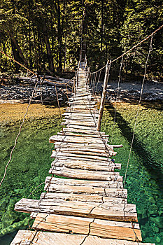 木质,步行桥,穿过,河,靠近,巴塔哥尼亚,阿根廷
