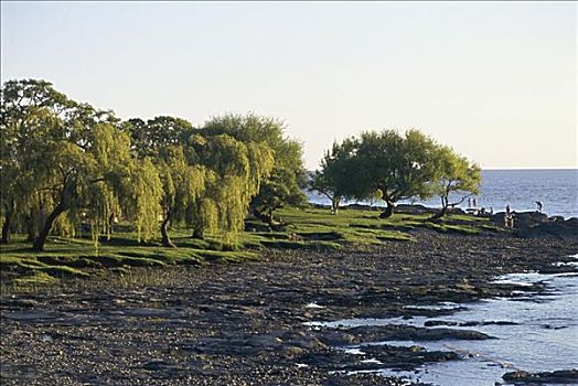 拉普拉塔河,南美洲,萨克拉门托,乌拉圭