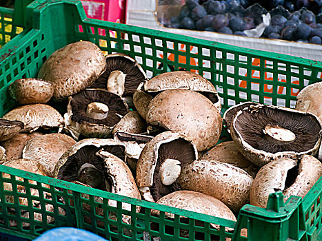 波多白洛大蘑菇,大,帽子,蘑菇,篮子,市场,都柏林,爱尔兰,欧洲