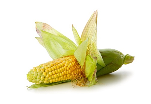 新鲜,玉米,隔绝,白色背景