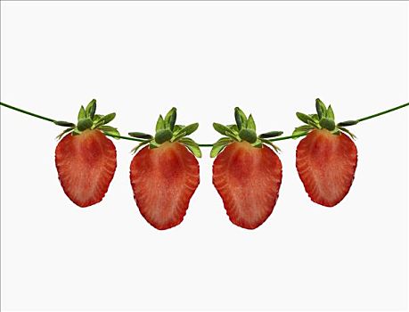平分,草莓,绿色,线