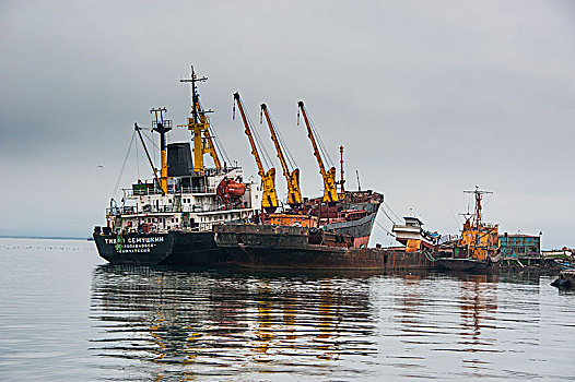 捕鱼,拖船,堪察加半岛,俄罗斯
