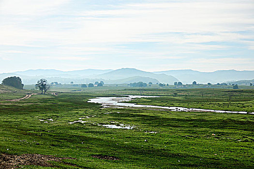 草原,高原,内蒙古高原
