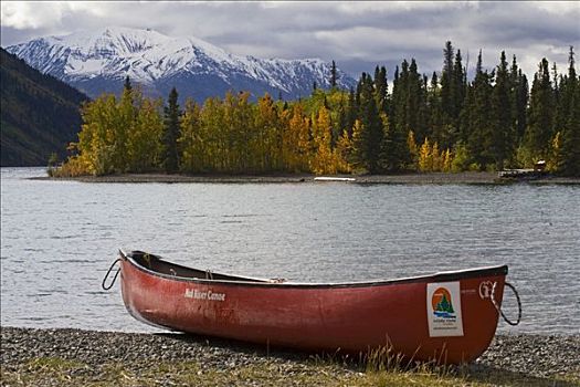 秋色,独木舟,湖,克卢恩国家公园,育空地区,加拿大,北美