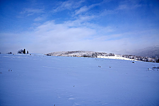 中国雪乡,羊草山