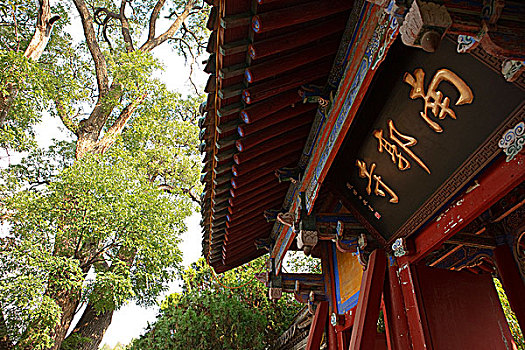 甘肃天水南郭寺