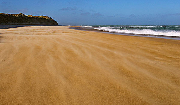 风,腐蚀,沙子,海滩,卡特林斯,南岛,新西兰