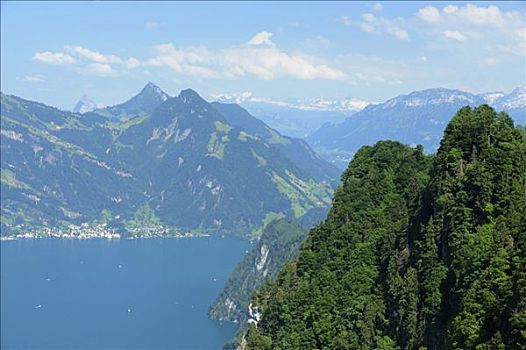 山,琉森湖,阿尔卑斯山,中心,瑞士,欧洲