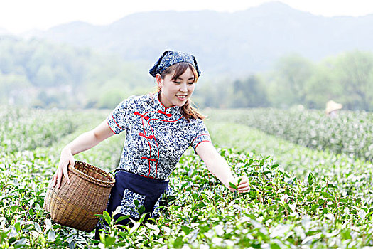 亚洲人,漂亮,女孩,种植园