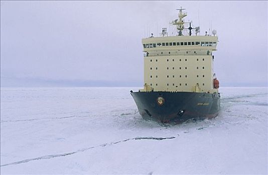 俄罗斯,破冰船,追踪,边缘,浮冰,威德尔海,南极