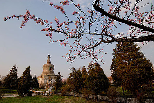 辽宁沈阳沈阳东塔