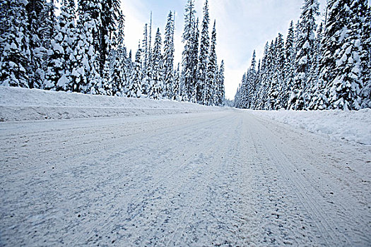 积雪,道路