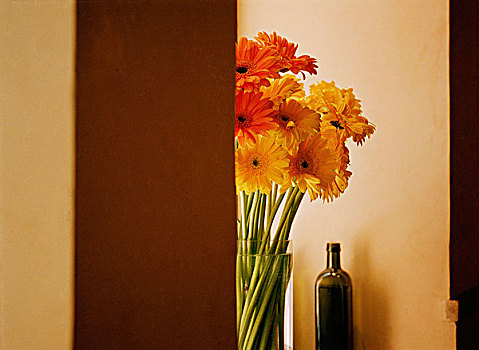 花瓶,花,坐,窗,窗台