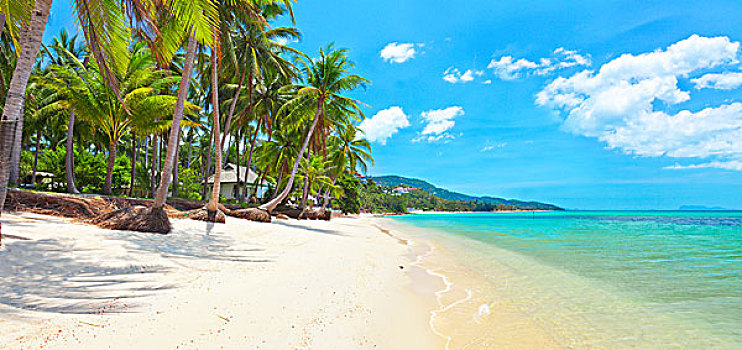 热带沙滩,苏梅岛,泰国,全景