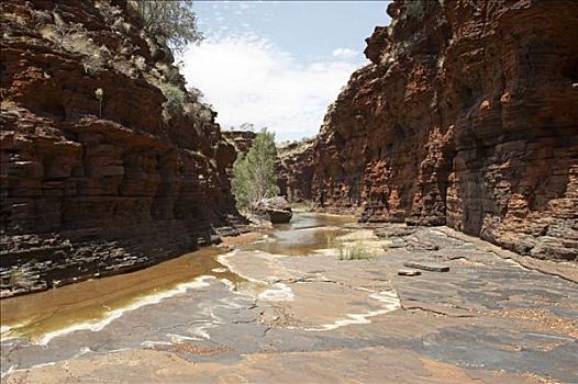 峡谷,卡瑞吉尼国家公园,区域,西澳大利亚