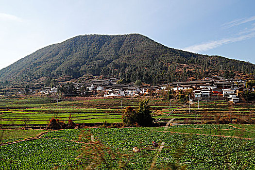 云南元谋楚雄县道,乡村农村,田野