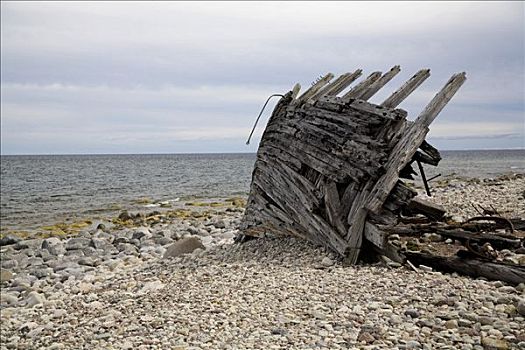 船,残骸,海滩,厄兰岛,瑞典