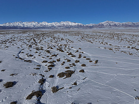 新疆哈密,雪后荒漠生态美