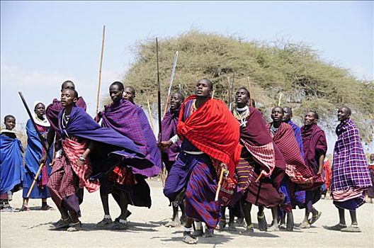 传统舞蹈,乡村,塞伦盖蒂,坦桑尼亚,非洲