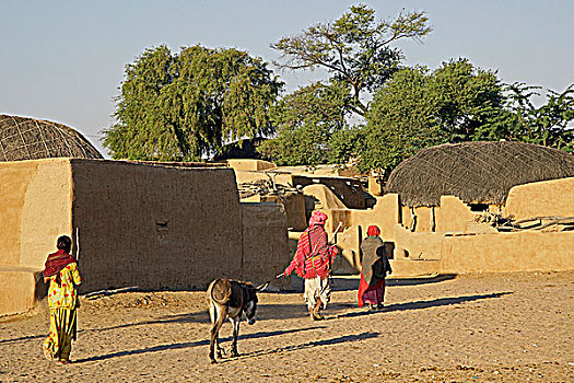 村民,传统,拉贾斯坦邦,房子