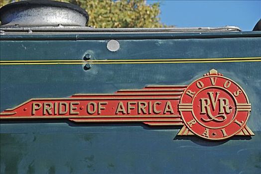 历史,蒸汽机,轨道,豪华,列车,世界,南非