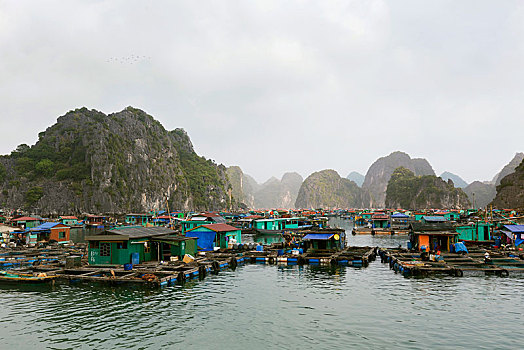 漂浮,渔村,港口,岛屿,下龙湾,越南,亚洲