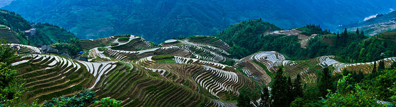 龙脊梯田全景图