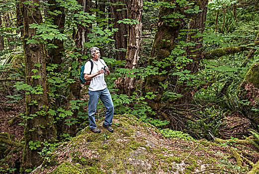 一个,男人,围绕,自然,山谷,温哥华岛,不列颠哥伦比亚省,加拿大